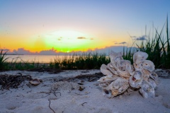 Cedar Key Beach Sunset